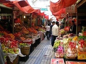 建水 元陽 羅平 昆明 観光 世界遺産 紅河ハニ棚田 菜の花畑 を巡る 旅行 ツアー