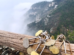 ブ源 景徳鎮 廬山