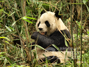 市内１日観光＜昼食付＞