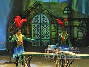 動物雑技 歓楽馬戯 上海馬劇城