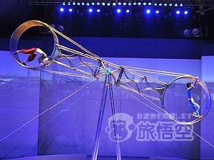 動物雑技 歓楽馬戯 上海馬劇城