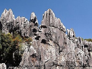 世界遺産 石林 と 九郷鍾乳洞 1日 日帰り ツアー