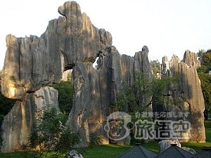 世界遺産 石林 と 西山 龍門 1日 日帰り ツアー