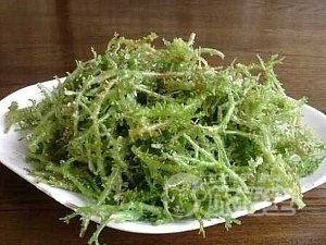 東力清真美食城 西寧